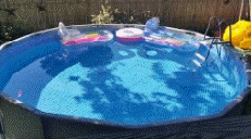 16 foot Lazy POOL